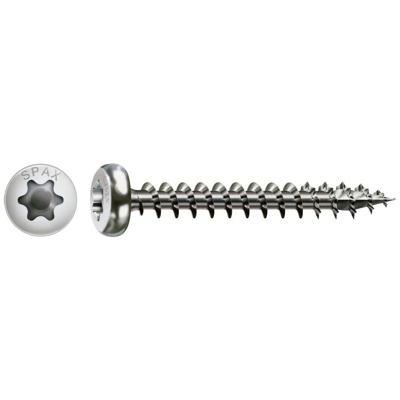 Spax bk t20 rvs 4,0x40(200)