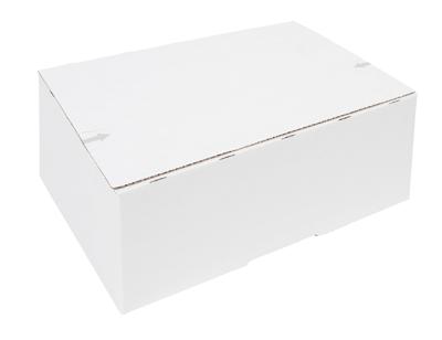 Postpakketbox iezzy 4 305x215x110mm wit