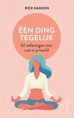 Eén ding tegelijk - Rick Hanson - ebook