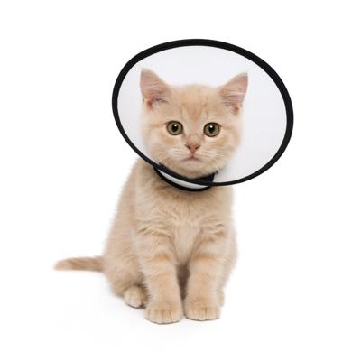 Nobleza Beschermkraag voor hondje en kat - Maat XXS