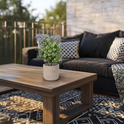 Eucalyptus Kunstplant 30cm UV Wit-Groen