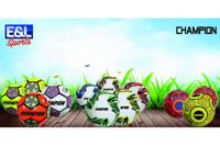 E&L Sports Voetbal champion - verschillende prints - 320 gram - maat 5 - thumbnail