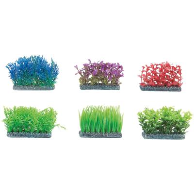 Aquarium plant Voorgrond - +/- 5 x 5 cm 5 cm Flamingo Willekeurig Aquarium plant Voorgrond - +/- 5 x 5 cm 5 cm Flamingo Willekeurig