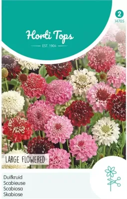 Zaden Scabiosa Duifkruid gemengd Hortitops - Hortitops