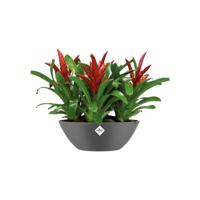 Elho brussels bloempot ovaal 36 cm antraciet - thumbnail