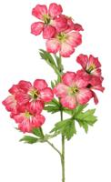 Geranium ooievaarsbek d.roze kunstbloem zijde nepbloem Driesprong Collection - Driesprong collection - thumbnail