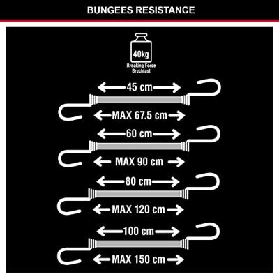 Masterlock Set of 10 Twin Wire bungees (2*25 + 2*45 + 2*60+ 2*80 + 2*100)double - 3043EURDAT Masterlock Set of 10 Twin Wire bungees (2*25 + 2*45 + 2*60+ 2*80 + 2*100)double - 3043EURDAT