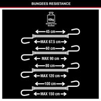 Masterlock Set of 10 Twin Wire bungees (2*25 + 2*45 + 2*60+ 2*80 + 2*100)double - 3043EURDAT - thumbnail