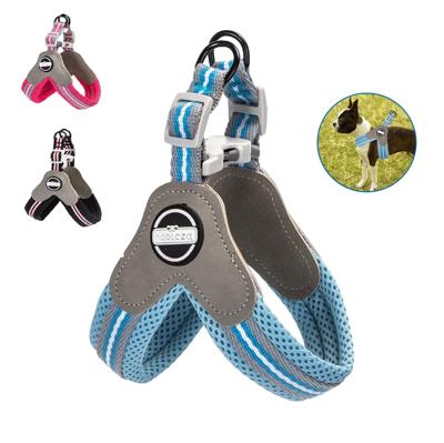 Nobleza Instaptuigje voor kleine hond - Gevoerd - S Nobleza Instaptuigje voor kleine hond - Gevoerd - S