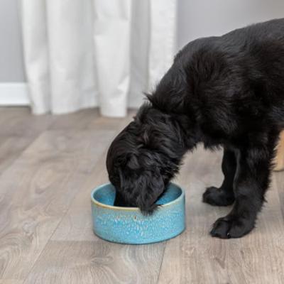 Voerbak voor honden Trixie Blauw Ø 16 cm 900 ml