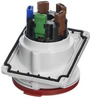 Schneider Electric PKY32F435 PKY32F435 CEE-opbouwdoos 32 A 415 V 1 stuk(s) - thumbnail