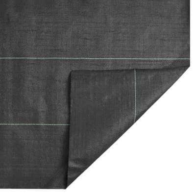 Worteldoek 4x50 m polypropeen zwart - thumbnail