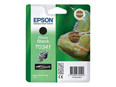 Epson T0341 foto zwart