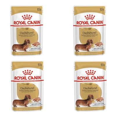 Royal Canin Adult Dachshund (Teckel) natvoer hond (paté) 4 dozen (48 x 85 g) - thumbnail
