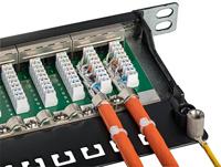 LINDY Patch-Panel 24 poorten Netwerkpatchpaneel 483 mm (19) CAT 6A 0.5 HE Meerdere kleuren Ingericht - thumbnail