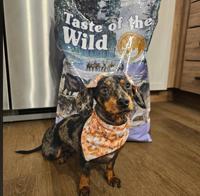 Taste of the wild Sierra Mountain 2 kg - thumbnail