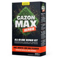 Ecostyle Gazonmax repair 500 gr - thumbnail