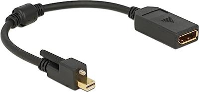 Mini DisplayPort naar DisplayPort Mini DisplayPort naar DisplayPort