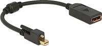 Mini DisplayPort naar DisplayPort - thumbnail