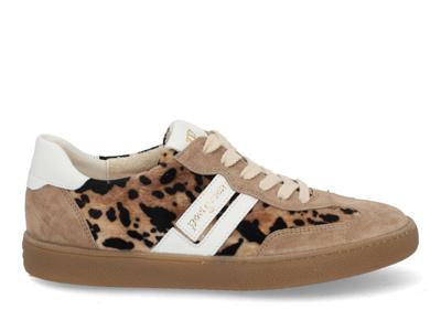 Paul Green 5437 139 leo almond multi bruin maat 38