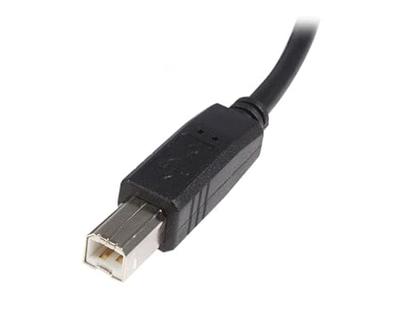 StarTech.com USB2HAB3M USB 2.0 A-naar-B-kabel (3 m, St/St) zwart