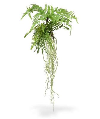 Tillandsia Varen kunst hangplant 90cm