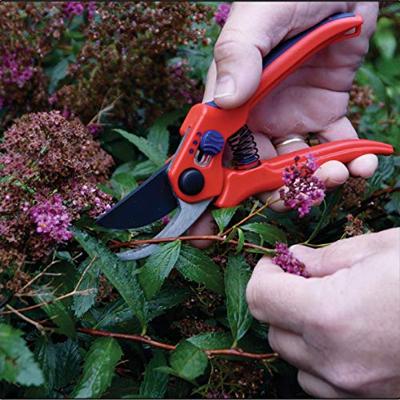 CON:P Snoeischaar Met Papegaaiebek 2014 - B44213