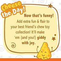 Nylabone dura chew cheese bone - thumbnail