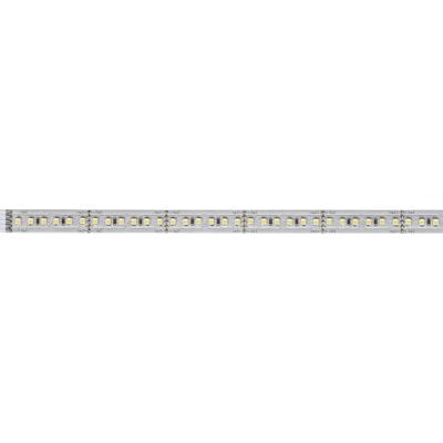 Paulmann MaxLED 1000 70568 LED-strip uitbreidingsset Met connector (male) 24 V 1 m Warmwit