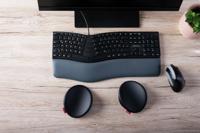 Cherry SlidePad Ergo - thumbnail