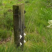 Gallagher W-isolator Super wit (25) - 067612 067612 - thumbnail