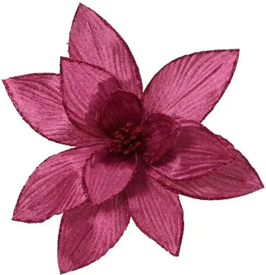 Poinsettia fluwl d30h15 cm groentappl Everlands - Everlands