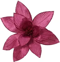 Poinsettia fluwl d30h15 cm groentappl Everlands - Everlands - thumbnail