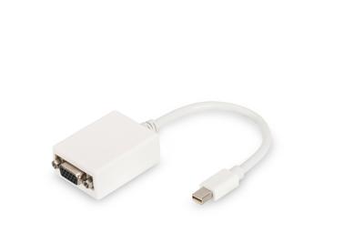 Adapter DisplayPort naar VGA Digitus by Assmann DB-340407-001-W Wit Zwart 15 cm Adapter DisplayPort naar VGA Digitus by Assmann DB-340407-001-W Wit Zwart 15 cm