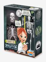 Skelet - BUKI meerkleurig - thumbnail