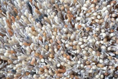 Brink en Campman - Young 61801 - 140x200 cm Vloerkleed