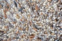 Brink en Campman - Young 61801 - 140x200 cm Vloerkleed - thumbnail