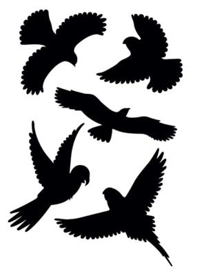 Gardigo Birdprotection Raamsticker Functies: Afschrikking 5 stuk(s)