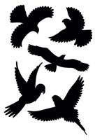 Gardigo Birdprotection Raamsticker Functies: Afschrikking 5 stuk(s) - thumbnail