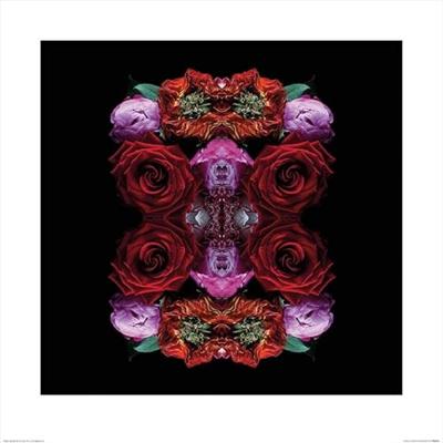 Kunstdruk Alyson Fennell - Paradise of Petals 60x60cm