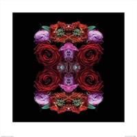 Kunstdruk Alyson Fennell - Paradise of Petals 60x60cm - thumbnail
