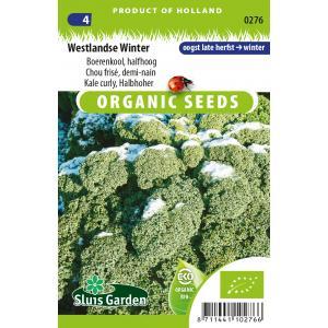Boerenkool Westlandse Winter BIO zaden