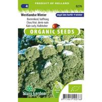 Boerenkool Westlandse Winter BIO zaden - thumbnail