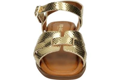 Red Rag 79664 - alle