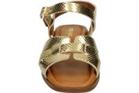 Red Rag 79664 - alle - thumbnail