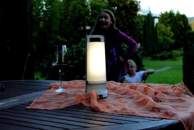 Lutec Solar tafellampjeDragonfly zilvergrijs - 6904101337