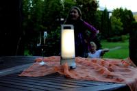 Lutec Solar tafellampjeDragonfly zilvergrijs - 6904101337 - thumbnail