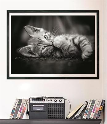 Clementoni puzzel 1000pcs kitty