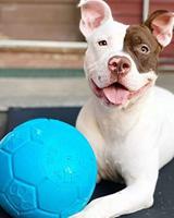 JOLLY SOCCER BALL BLAUW 20 CM - thumbnail
