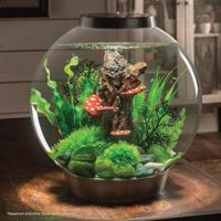 BiOrb moskiezel set aquarium decoratie - thumbnail